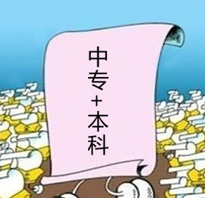 中本貫通 一個(gè)新型教育模式的興起