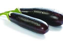 少油茄子的烹調(diào)方法了解一下