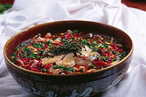 秋季吃什么魚(yú)好