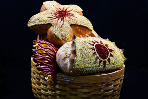 學(xué)技術(shù)怎么選靠譜的學(xué)校？