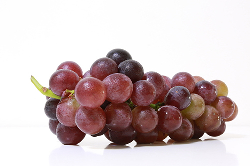 葡萄 500.jpg
