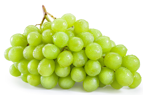 葡萄 500.jpg