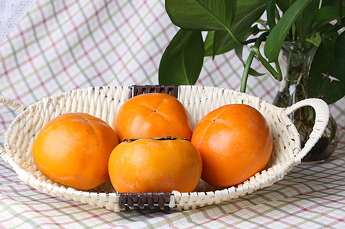 柿子 500.jpg