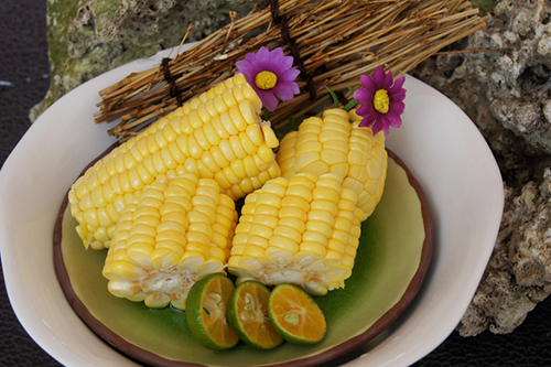 玉米 500.jpg