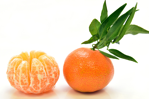 橘子2 500.jpg