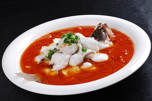 番茄魚(yú) 500.jpg