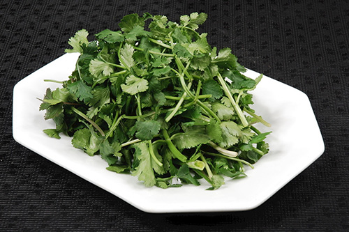 香菜 500.jpg